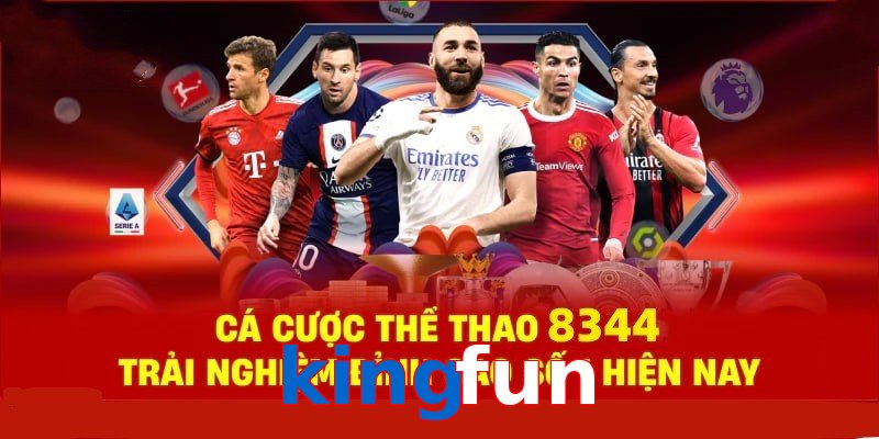 Đá Gà Philippines – Tinh Hoa Truyền Thống Và Thể Thao 